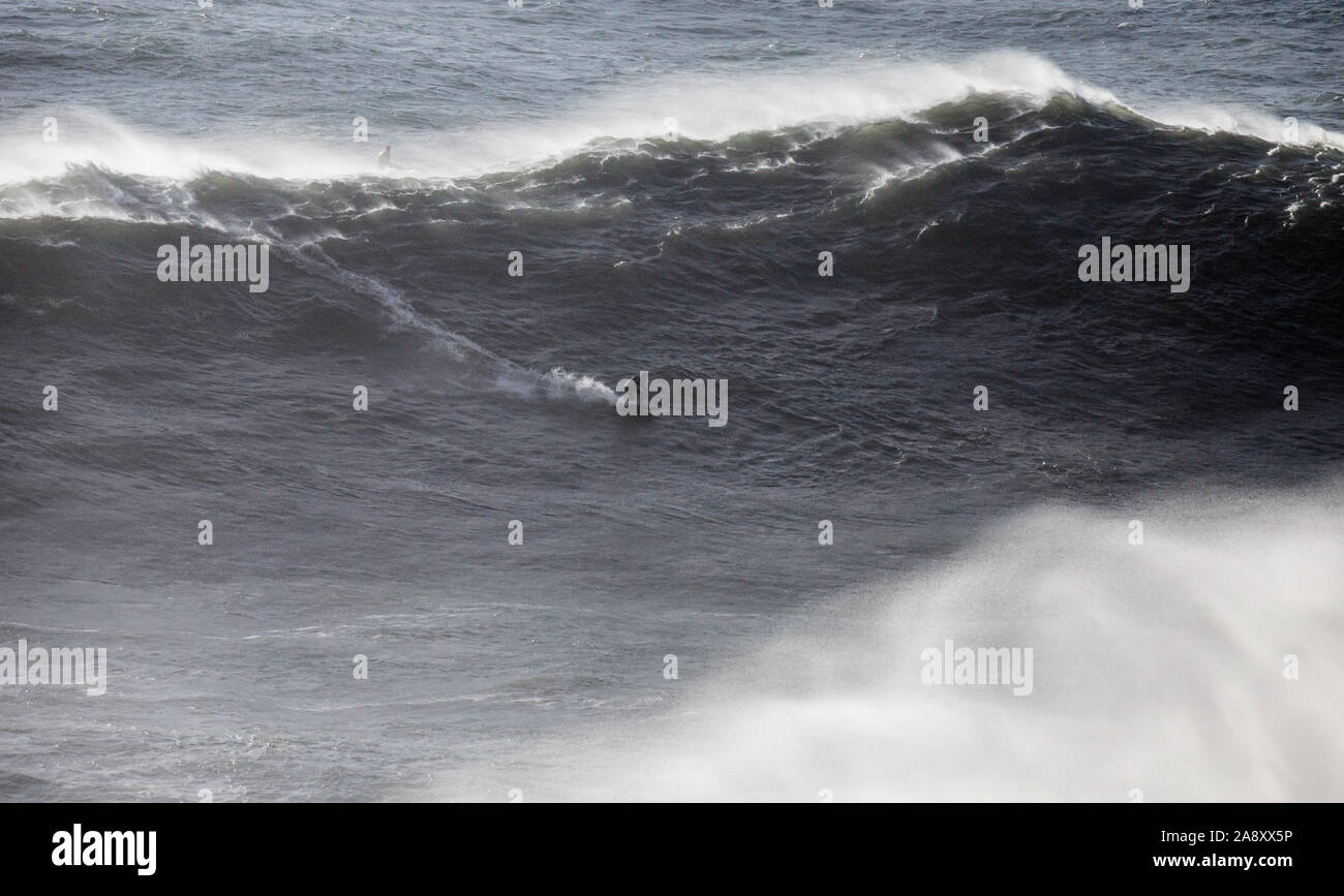 Surfen grosse Wellen in North Beach, Nazare, Portugal. Stockfoto