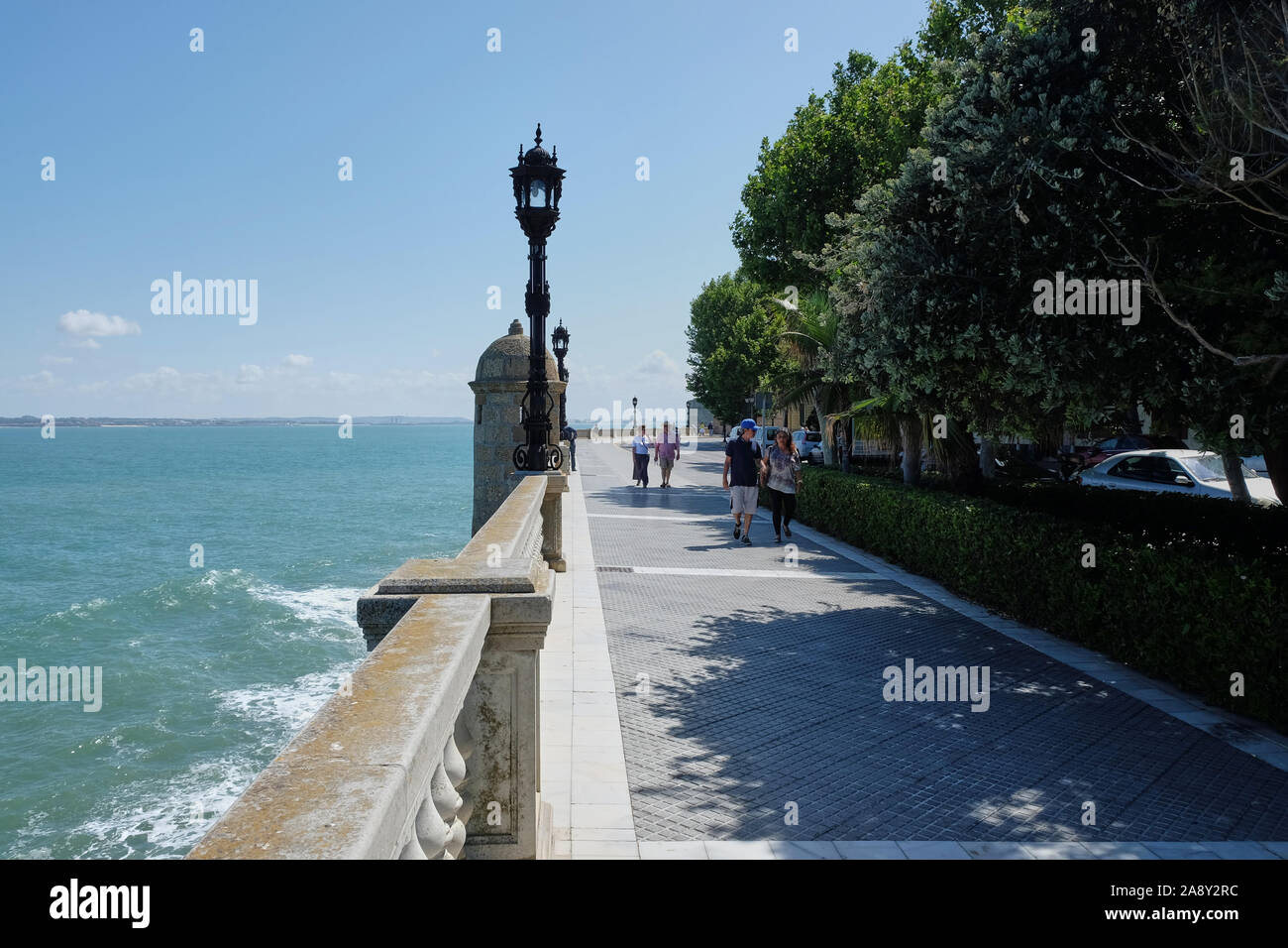Sonne und Baum Schatten auf dem Ozean Promenade in Cadiz, Spanien Stockfoto
