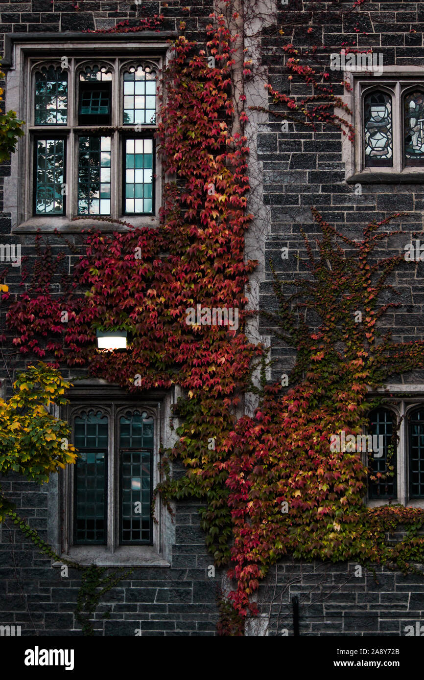 Architektur der University of Toronto Stockfoto