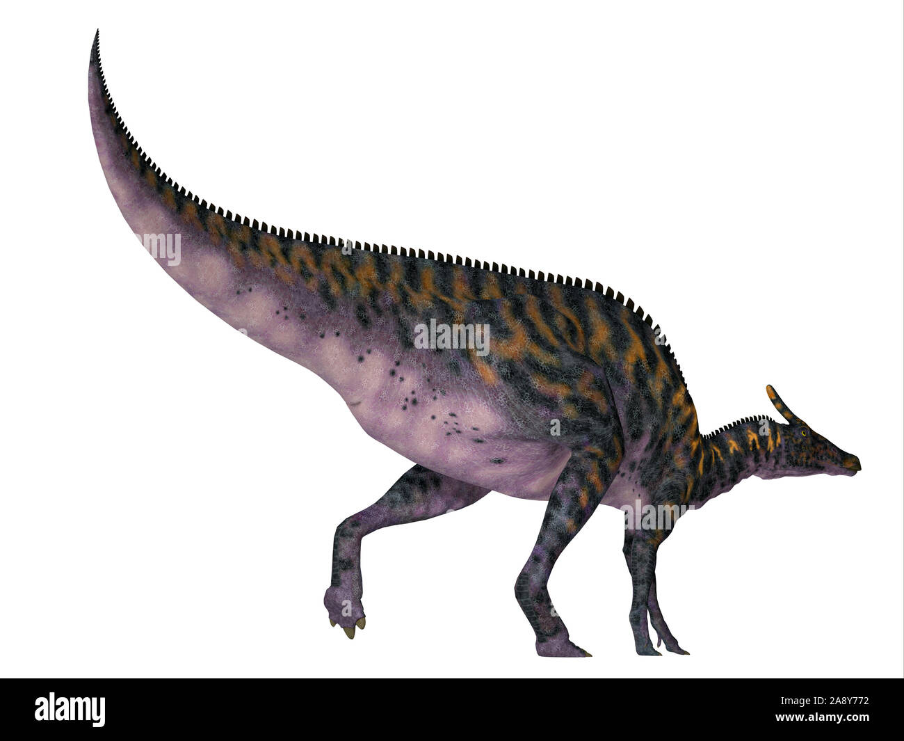 Saurolophus osborni Fotos und Bildmaterial in hoher Auflösung Alamy