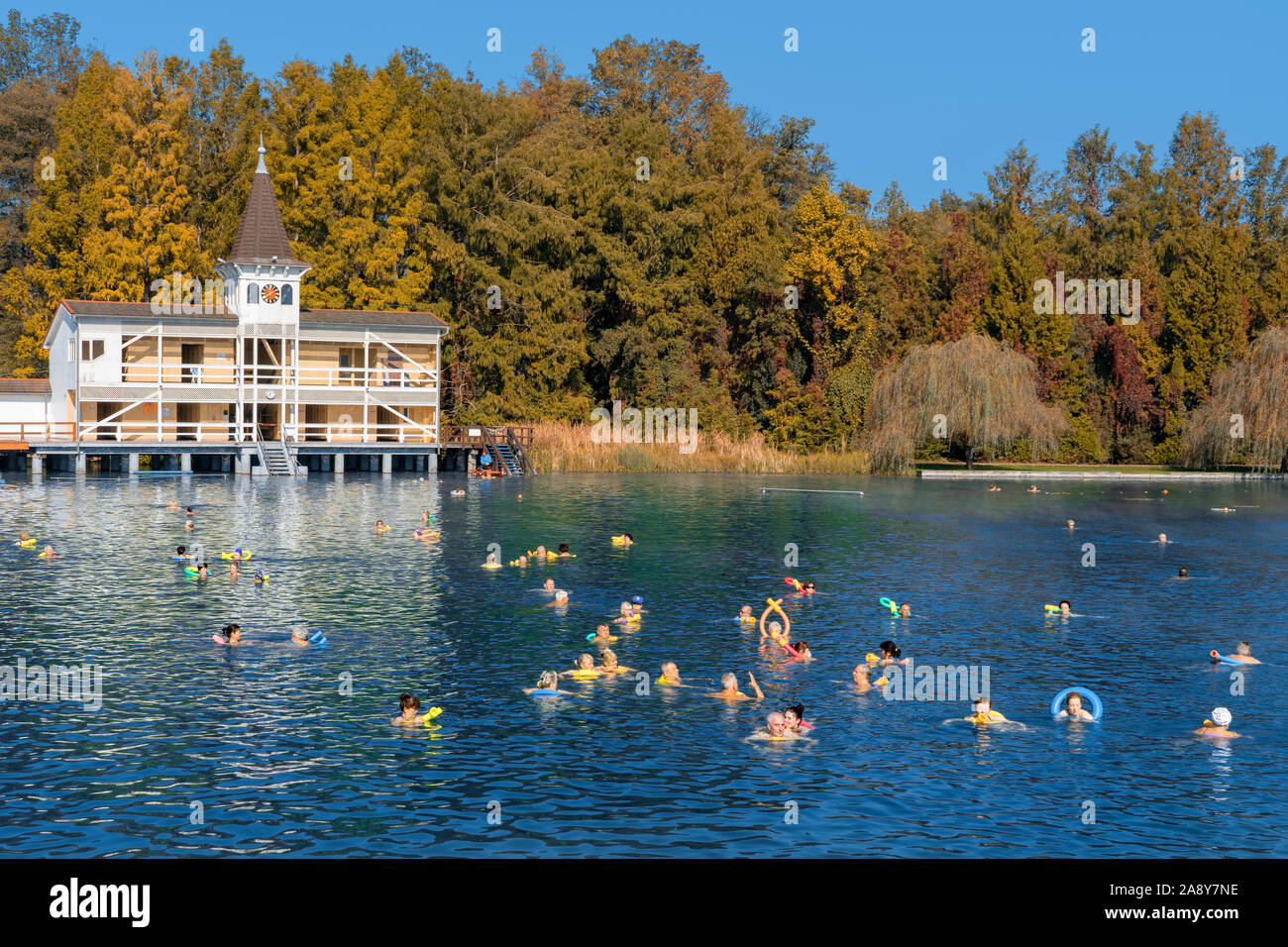 Heviz, Ungarn 10.08.2019: Menschen schwimmen im berühmten Heviz balneologischen Thermalbad Teich in Ungarn Park Herbst Stockfoto