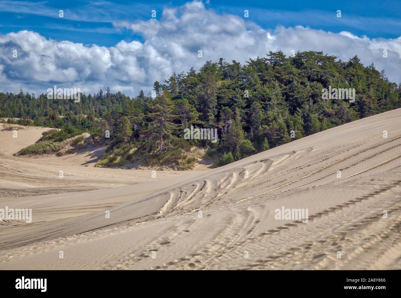 Oregon Dunes Stockfoto
