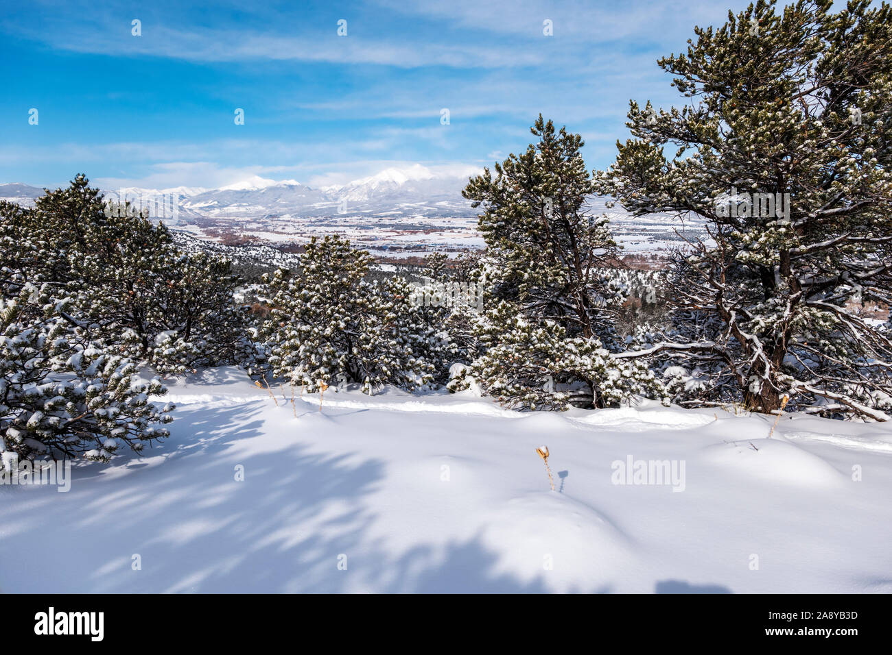 Winter Blick auf frischen Schnee auf der Rocky Mountains in der Nähe von Salida, Colorado, USA Stockfoto