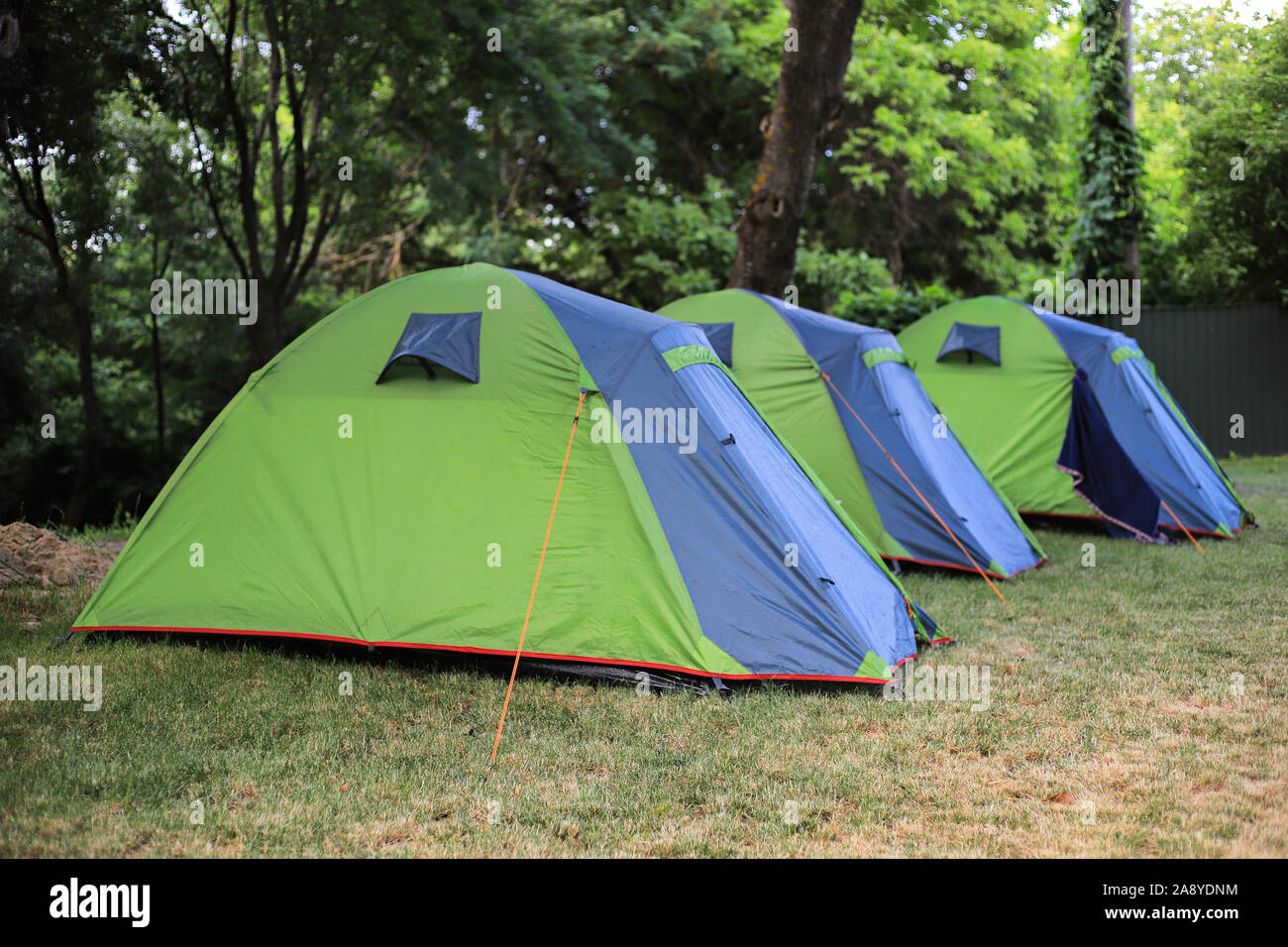 Grüne camping zelten auf dem Campingplatz Stockfoto