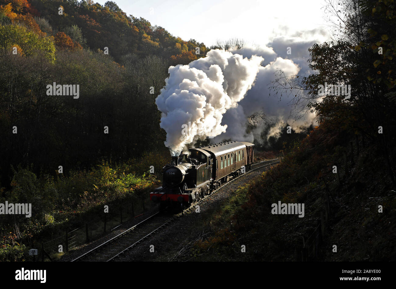 5541 Köpfe entlang der Dean Forest Railway am oberen Schmieden. Stockfoto