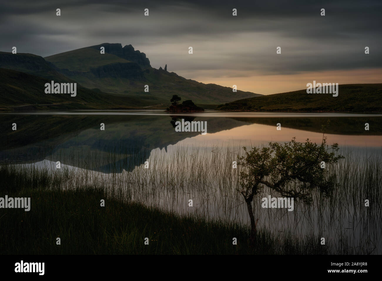 Alte Mann der Storr Reflexion im Loch Fada mit dem Baum im Vordergrund, Skye, Schottland Stockfoto