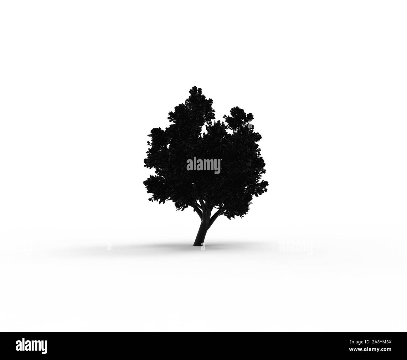 Baum Silhouette auf Weiß mit Schatten isoliert Stockfoto