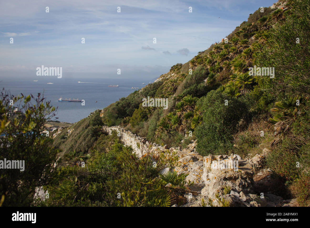 Wandern Sie die Mediterrane Schritte in die Upper Rock Nature Reserve, die auf dem Felsen von Gibraltar Stockfoto