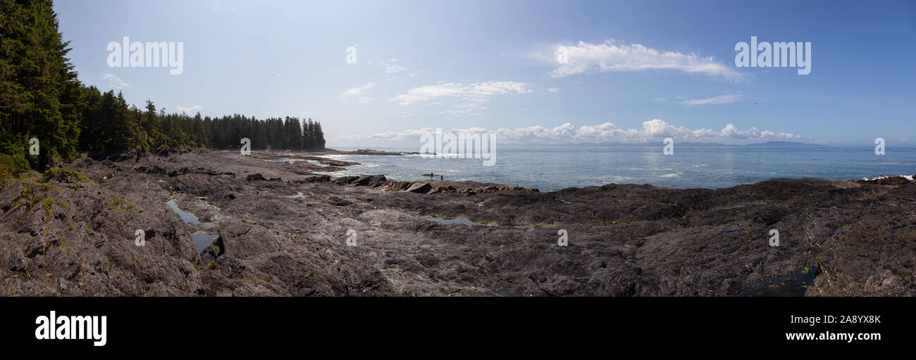 Botanical Beach, Port Renfrew, Vancouver Island, British Columbia, Kanada. Schöner Panoramablick auf einem felsigen Strand am Pazifik Küste während Stockfoto