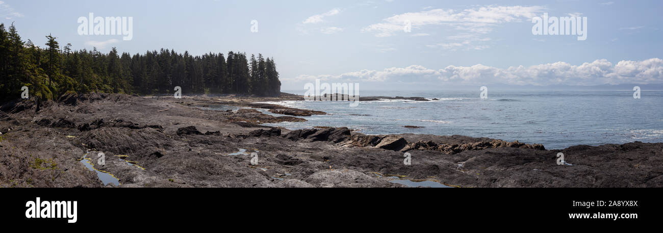Botanical Beach, Port Renfrew, Vancouver Island, British Columbia, Kanada. Schöner Panoramablick auf einem felsigen Strand am Pazifik Küste während Stockfoto
