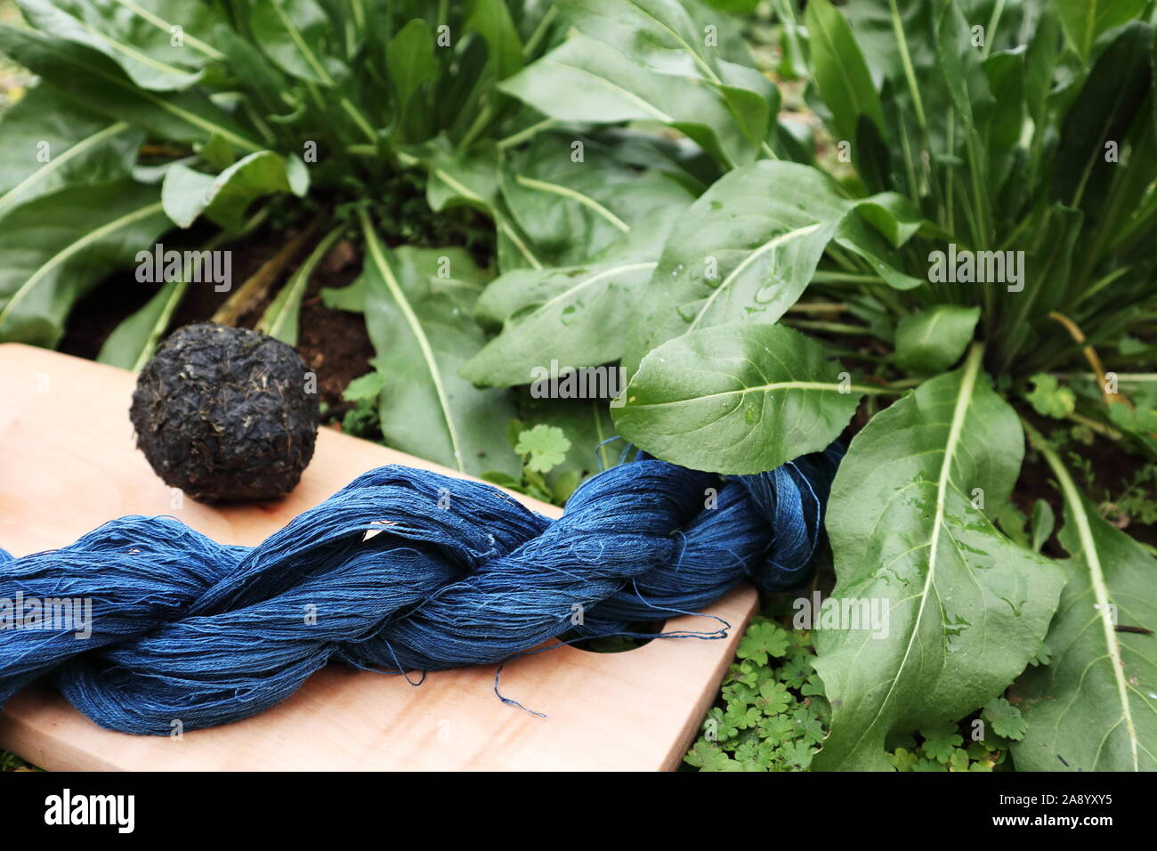 Indigo gefärbt, Blau Leinen Garn, waid Kugel, und waid Anlage. Stockfoto