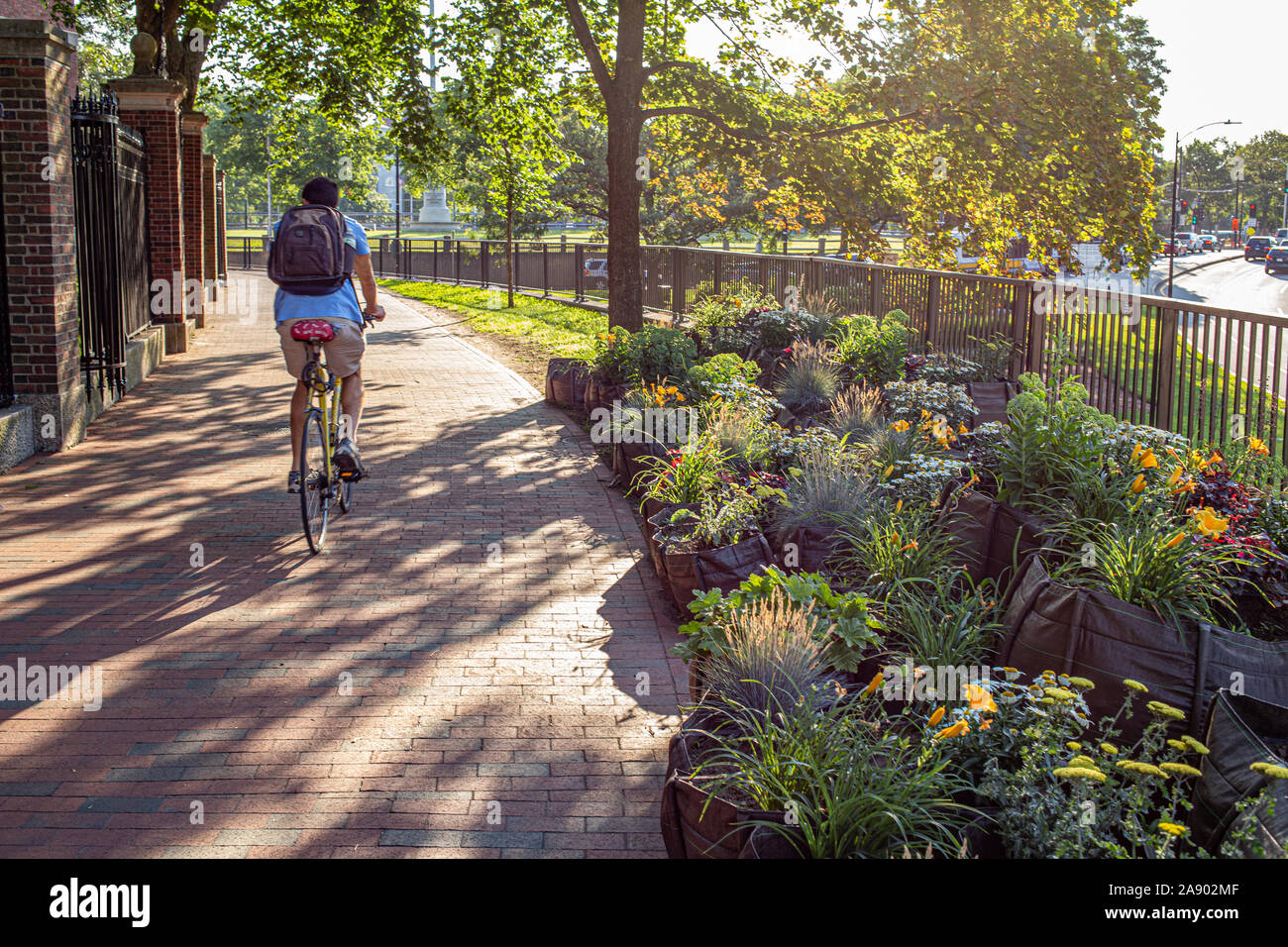 Mann mit dem Fahrrad auf dem Bürgersteig in Harvard Square, Cambridge, MA Stockfoto