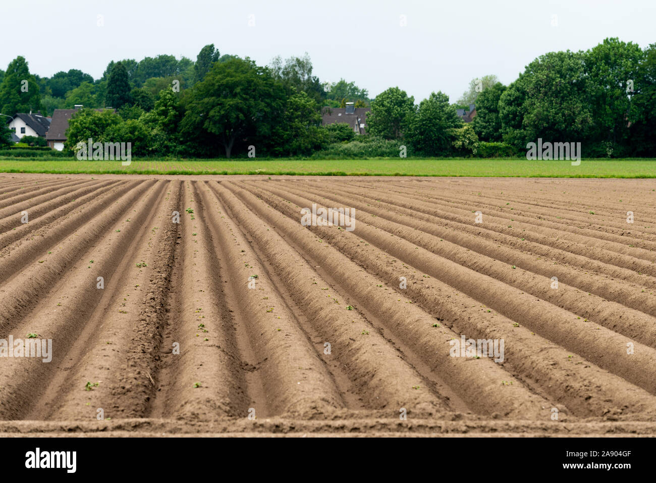 Gepflügten Feldes, Frühling landwirtschaftlichen Hintergrund Stockfoto