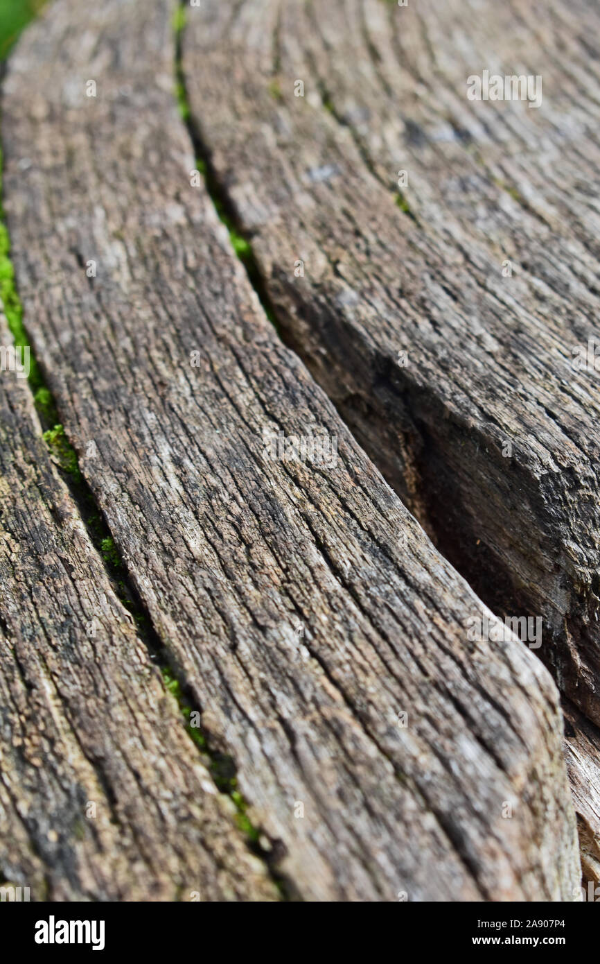 Detail der alten Holzbank mit Moss Stockfoto