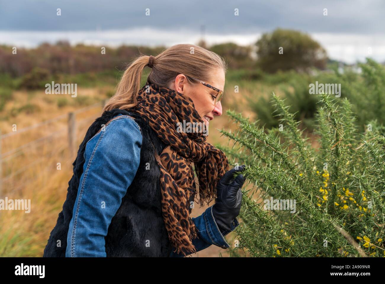 Frau auf der Suche nach Pflanzen im Winter zu Fuß, Hampshire, Großbritannien Stockfoto