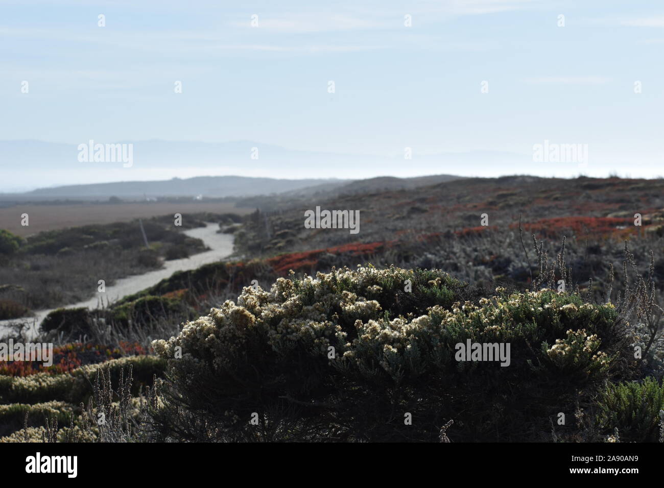 Ein Blick auf den Weg hinter den Dünen am Moss Landing. Stockfoto