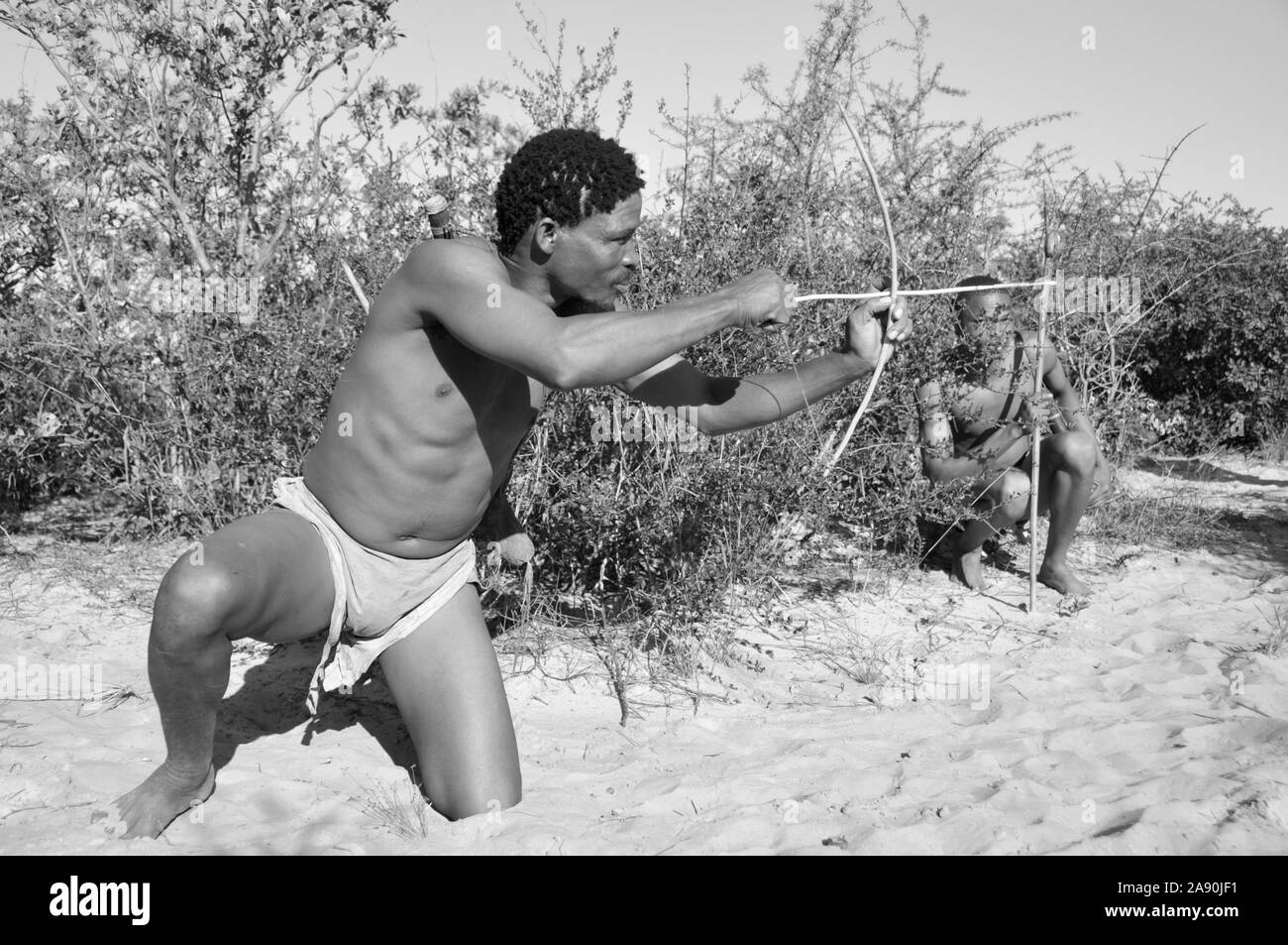 In der Nähe von Ghanzi Naro-Bushmen in der zentralen Kalahari in Botswana Stockfoto