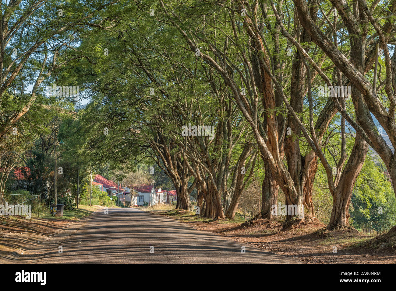 PILGRIMS REST, SÜDAFRIKA - 21. MAI 2019: eine Straße, Szene, mit Bäumen und historischen Gebäuden, in Pilgrims Rest Stockfoto