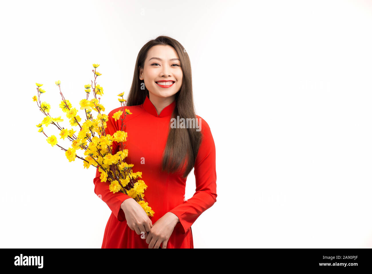 Porträt einer wunderschönen asiatischen Mädchen in Ao Dai mit gelber Blume Aprikose auf traditionellen Festival Stockfoto