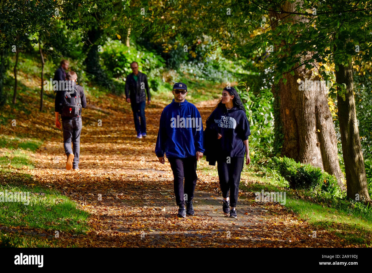 Menschen wandern entlang von Bäumen gesäumten Pfad im Herbst Stockfoto