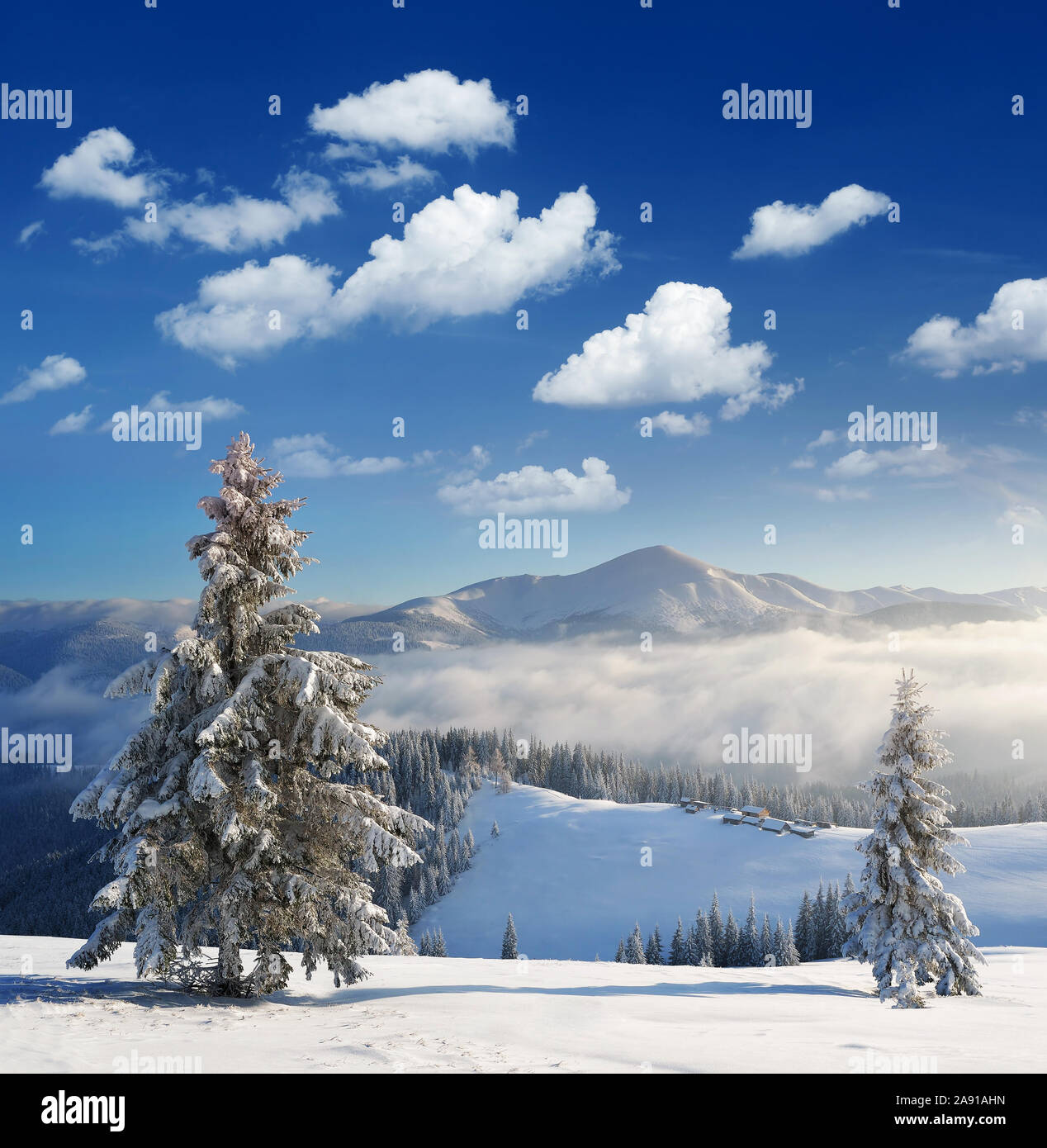Winterlandschaft in den Bergen. Sonnige frostigen Morgen. Weihnachten anzeigen Stockfoto