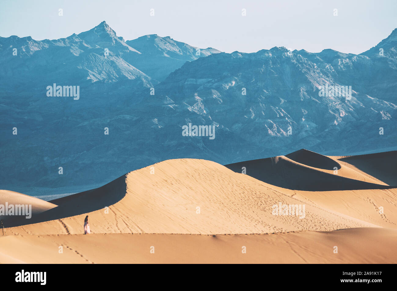 Wüste mit Bergen im Hintergrund Stockfoto