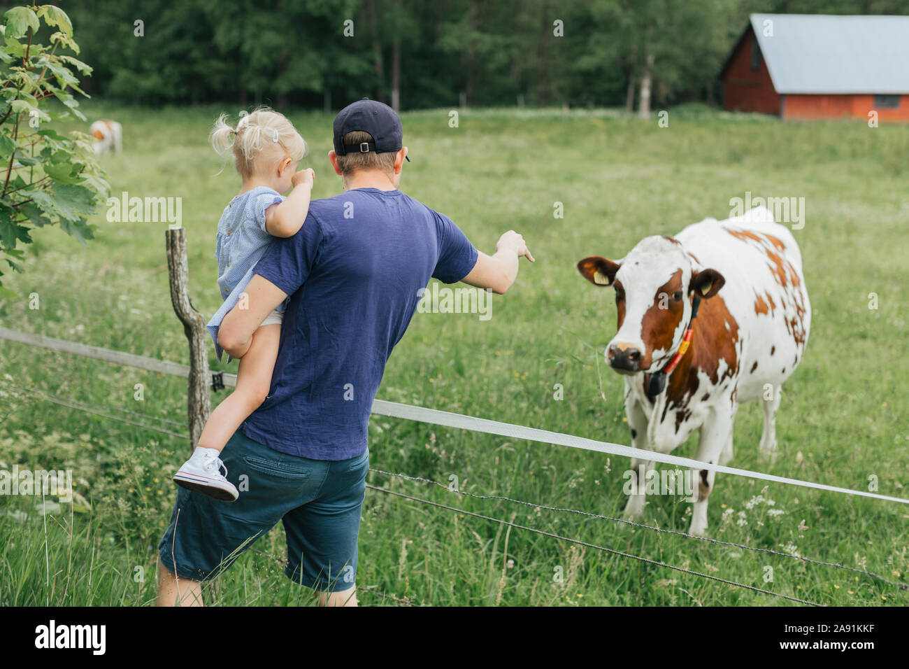 Vater mit Tochter Kuh Stockfoto