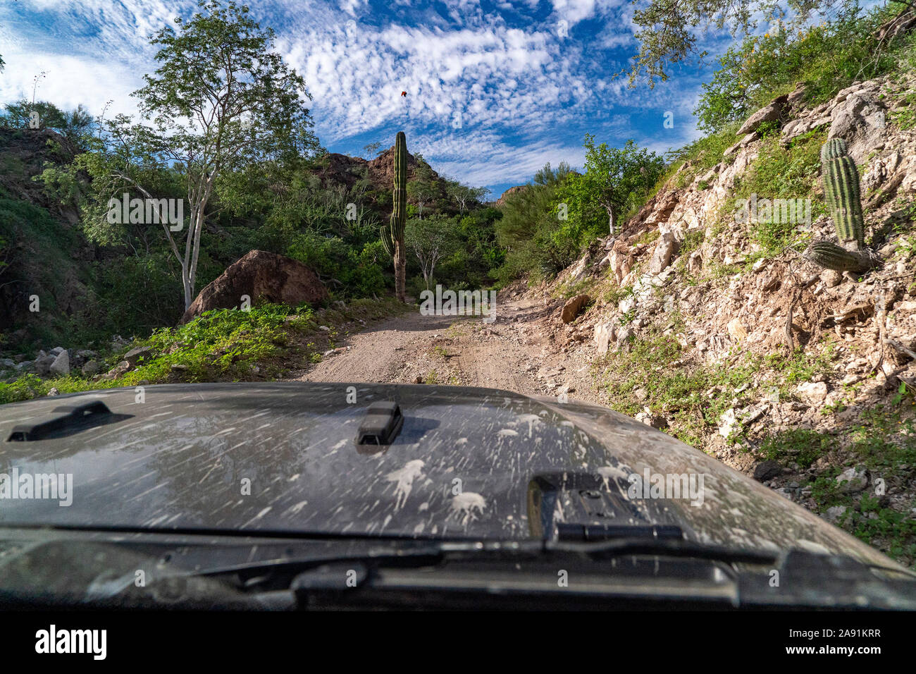 4x4 Offroad in Baja California desert fahren Stockfoto