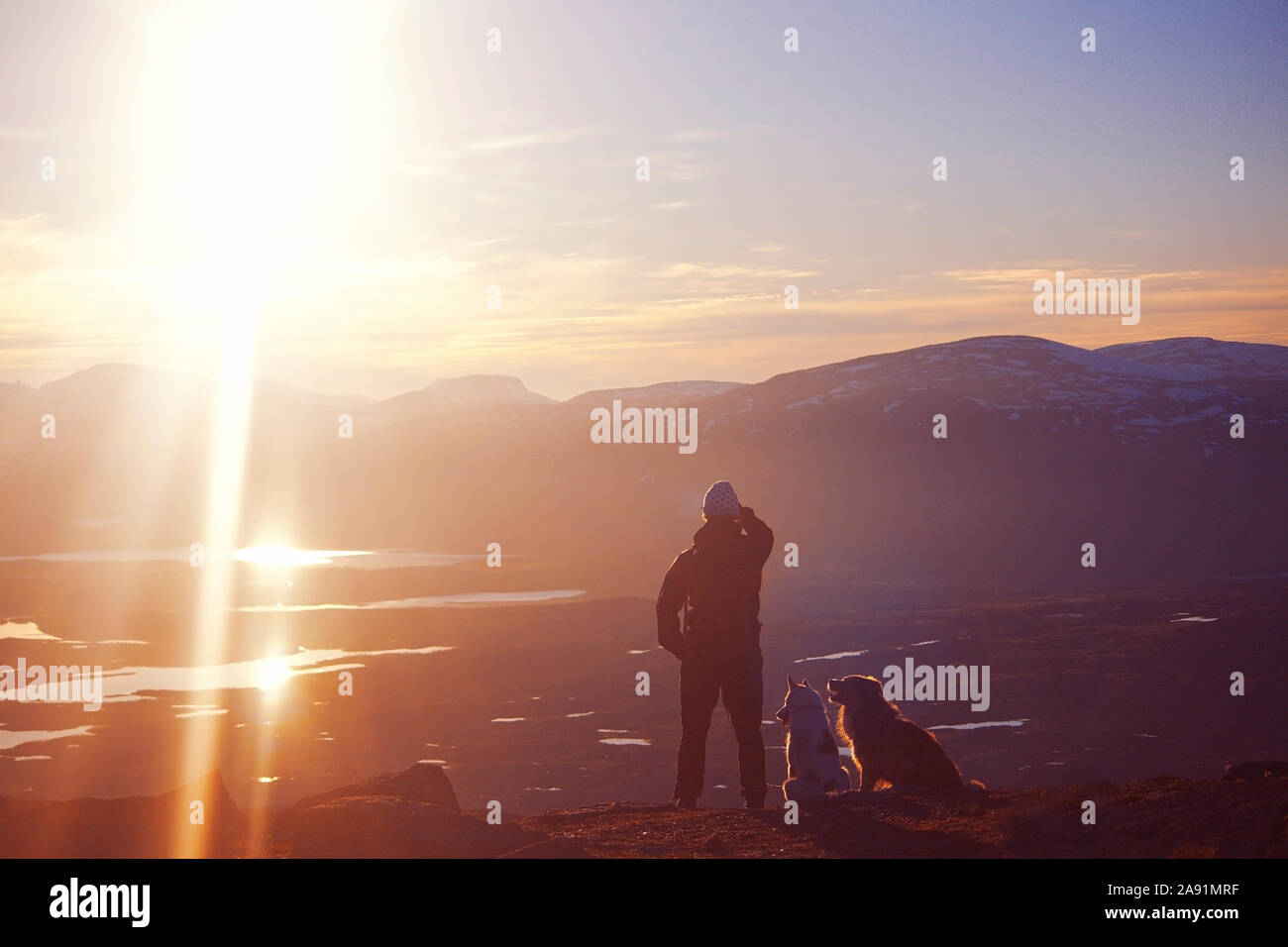 Mit Hunden auf Bergen Person Stockfoto