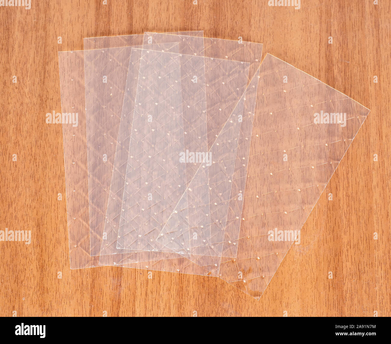 Trockene gelatineplatten Fotos und Bildmaterial in hoher Auflösung