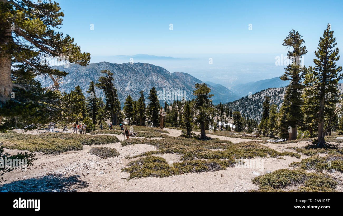 Die baldy bowl Trail mit einer unglaublichen Aussicht, Kalifornien, USA Stockfoto
