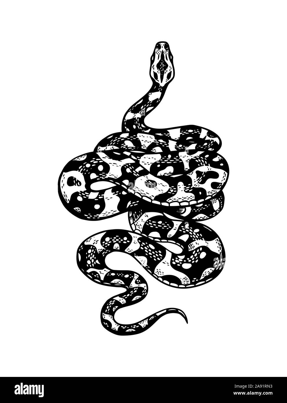 Schlange im Vintage Style. Schlange cobra oder Python oder giftige Viper. Graviert Hand gezeichnet Alte reptile Skizze für Tattoo. Anaconda für Aufkleber oder Logo oder Stock Vektor