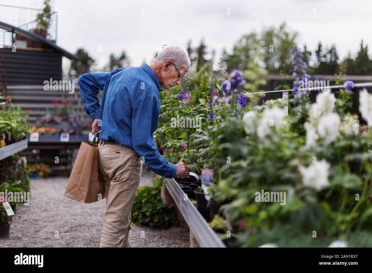 Älterer Mann im Garten Center Stockfoto
