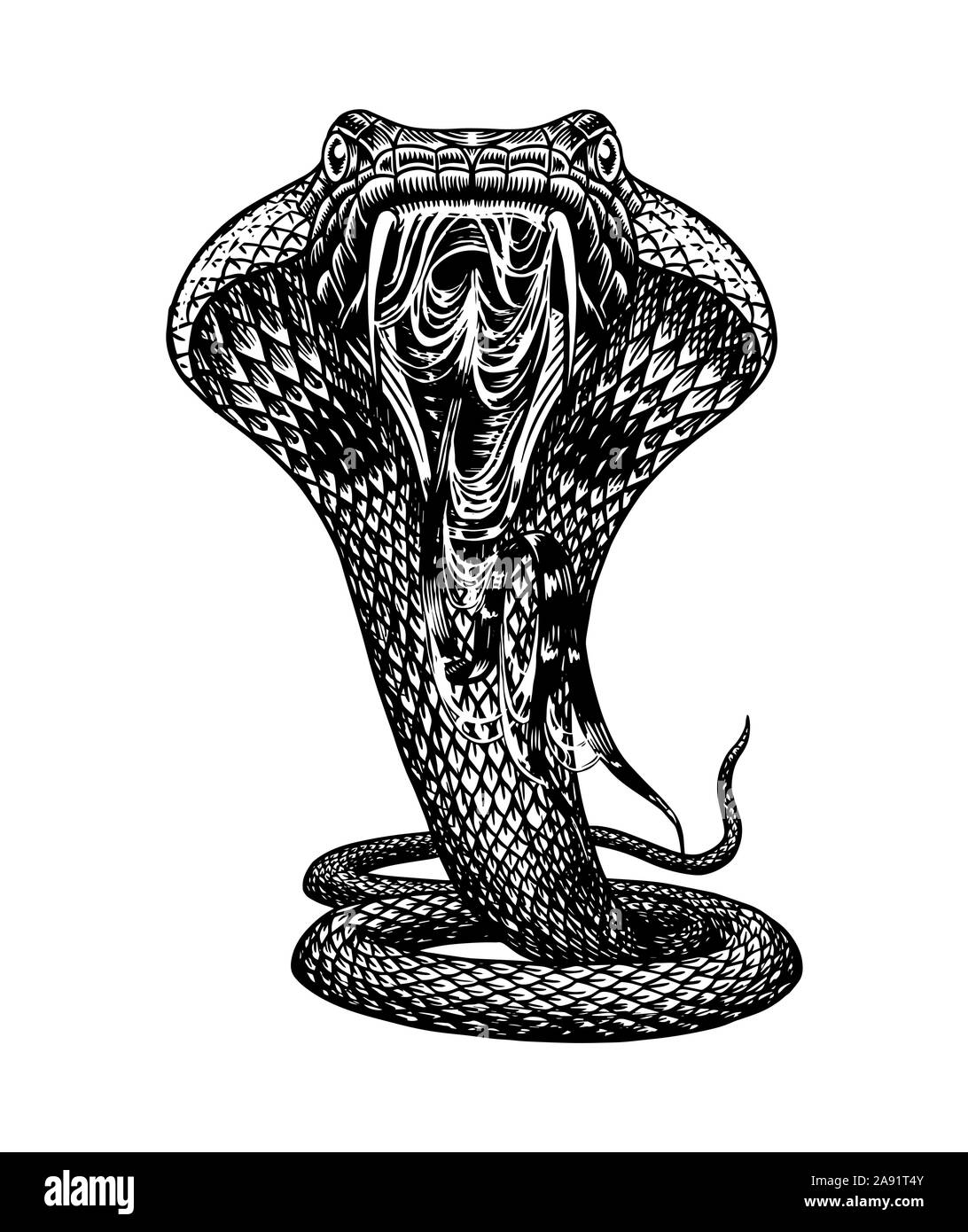 Cobra Schlange Im Vintage Style. Schlange Oder Python Oder Giftige