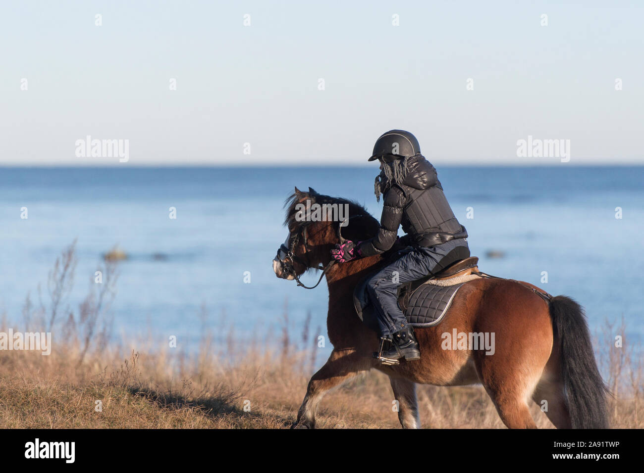 Mädchen auf Pony Stockfoto