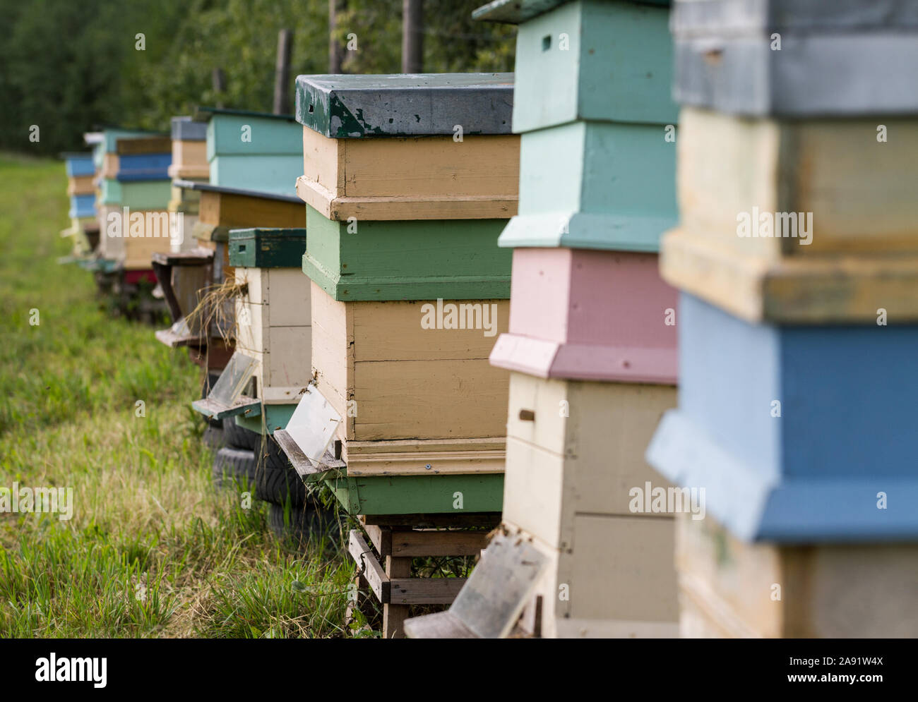Bienenhaus beehouses auf ein Feld. Stockfoto