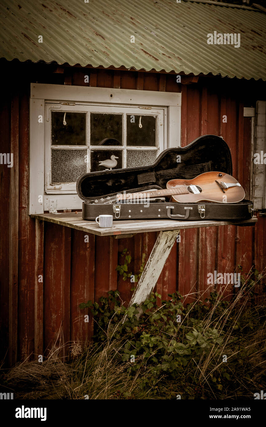 Gitarre im Fall Stockfoto Gitarre im Fall Stockfoto