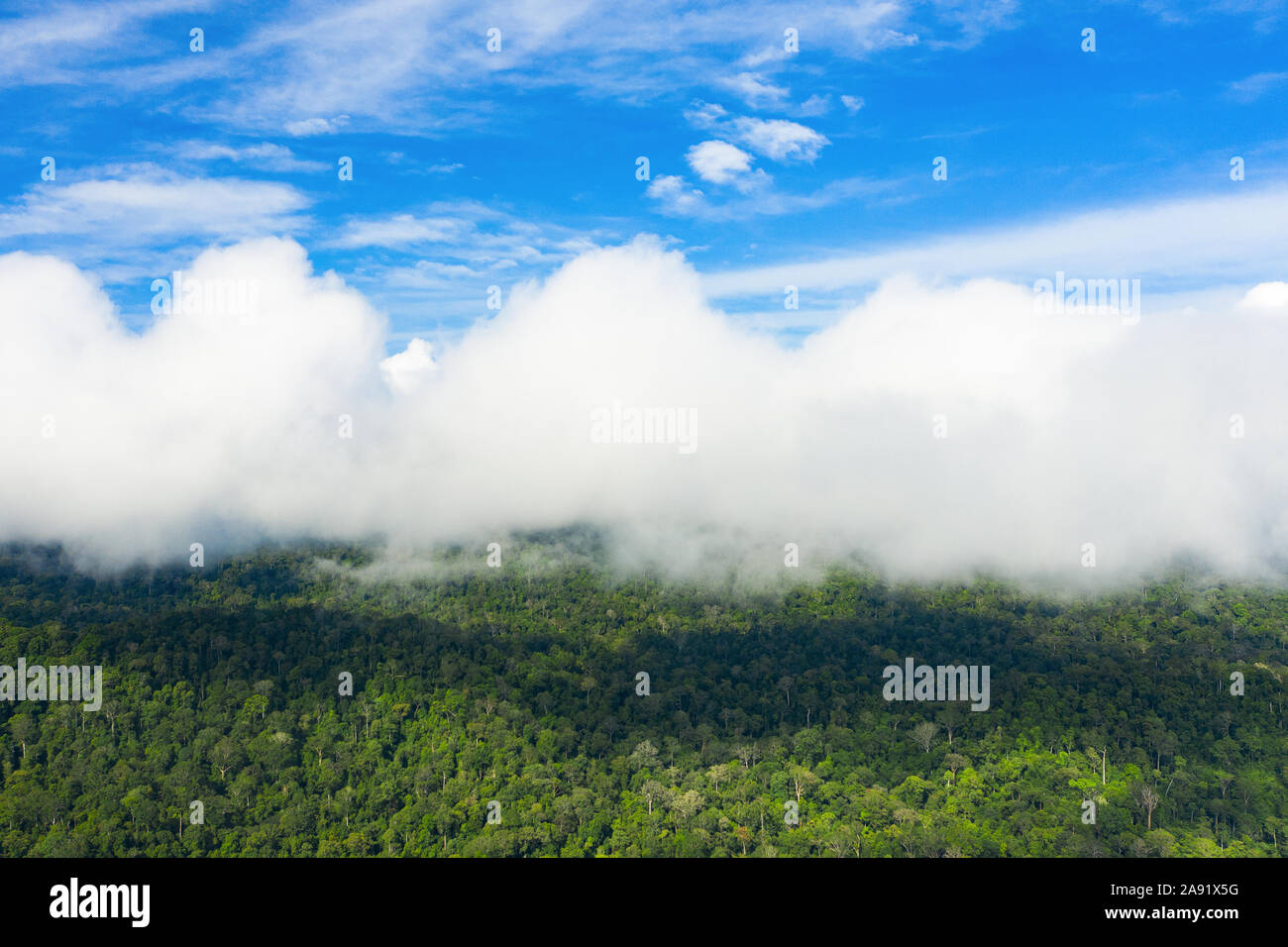 Ansicht von oben, beeindruckende Luftaufnahme des Taman Negara National Park mit dem tropischen Regenwald und den schönen weichen Wolken. Stockfoto