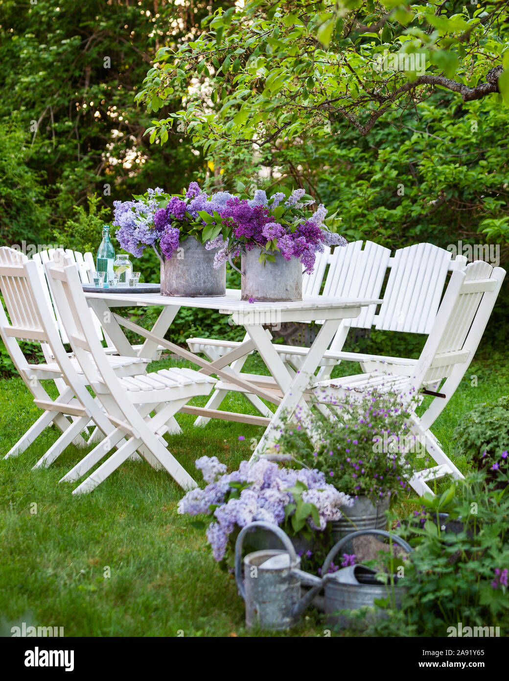 Lila Blumen auf Garten Tisch Stockfoto