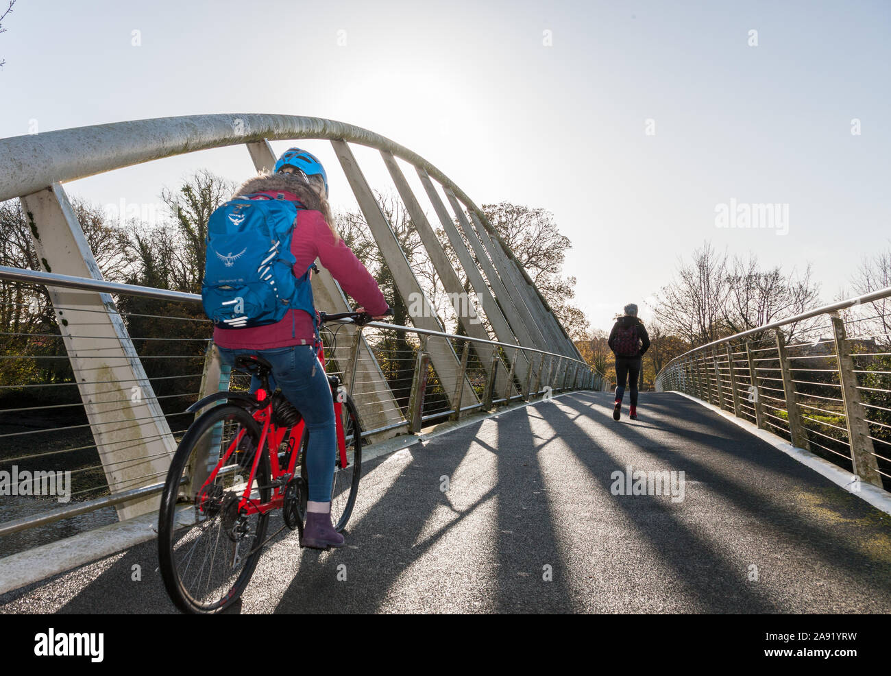 Die Stadt Cork, Cork, Irland. 12. November 2019. Ein Radfahrer kreuzt die Mardyke Brücke, ist in der Nähe von Fitzgerald's Park, dem größten öffentlichen Park i Stockfoto
