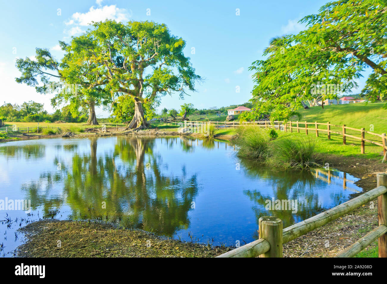 Schildkrötenpeicher mit stillem Wasser umgeben von Holzmast Zaun, Reflexion der malerischen Naturlandschaft und blauen Himmel zeigt Schönheit in der Natur Stockfoto