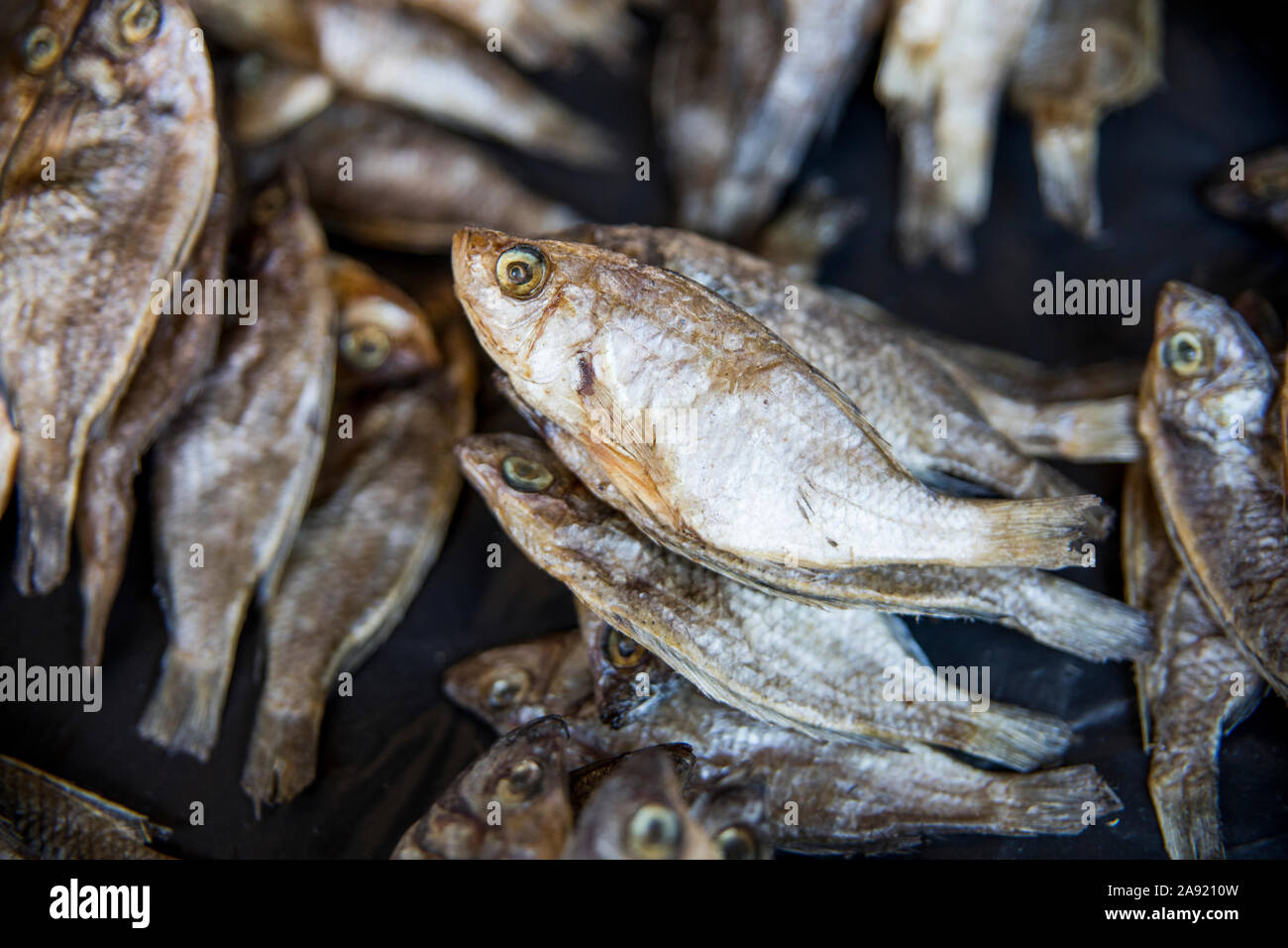 Getrockneter Fisch Stockfoto