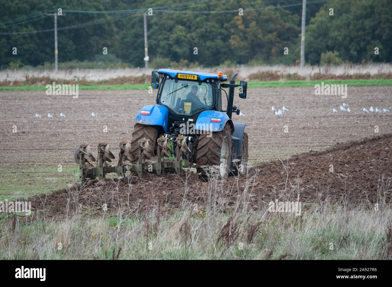Blau New Holland T7 Traktoren, Pflügen und Säen, der Saatgut in einem Feld auf Hayling Island England Stockfoto