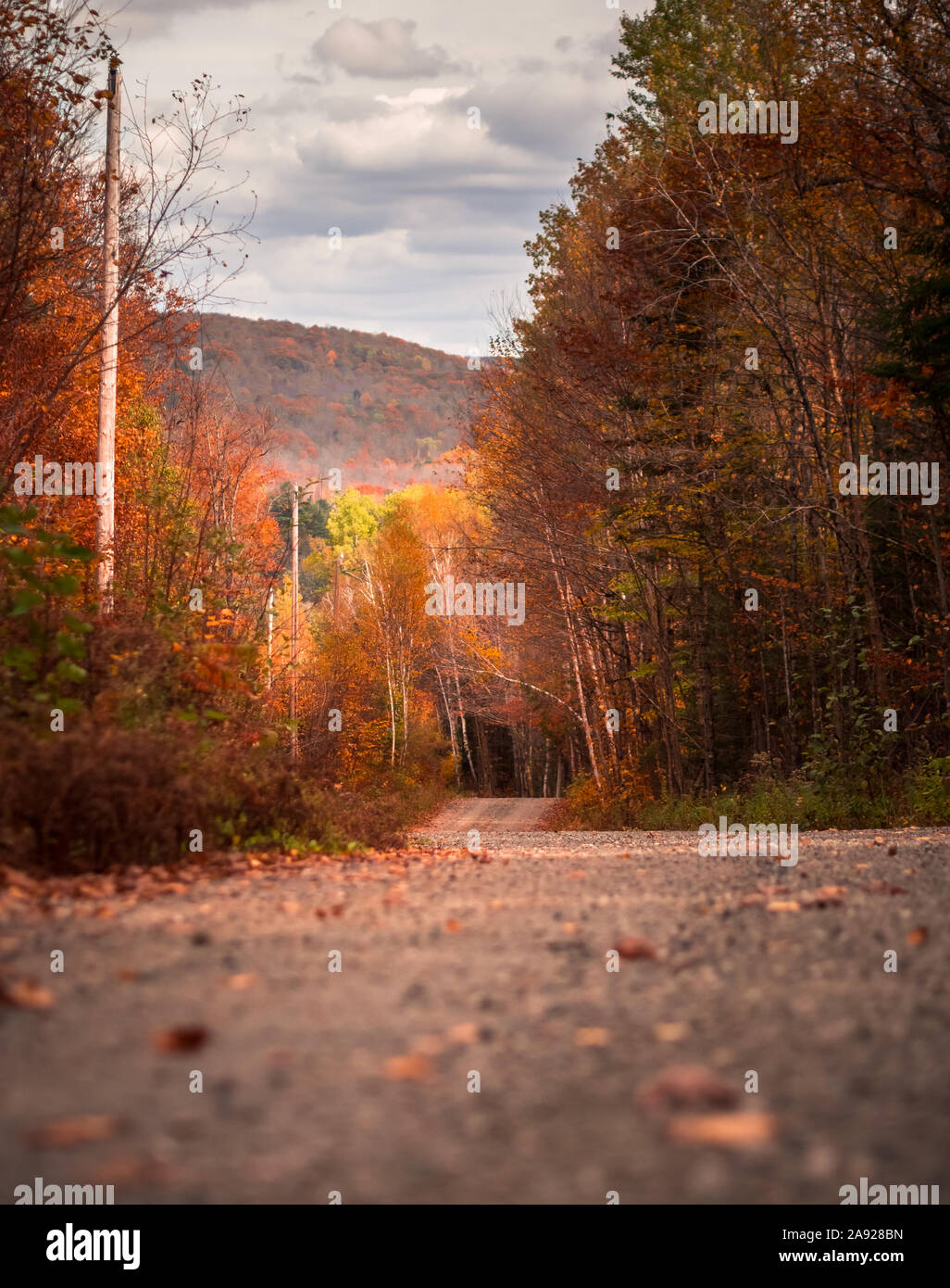 Herbst Szene mit bunten Bäumen in Algonquin Park, Ontario, Kanada Stockfoto