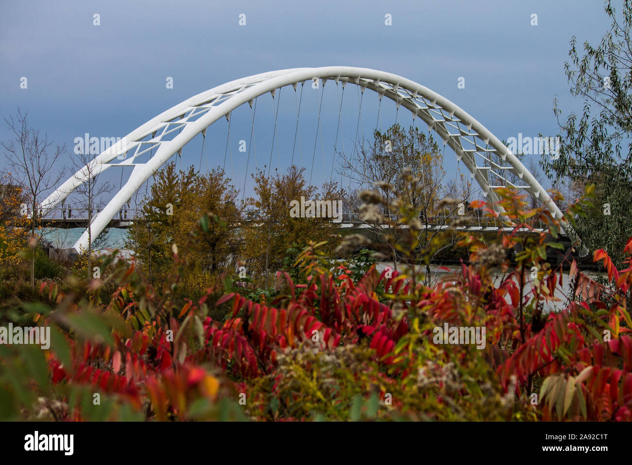 Humber Bay Bridge im Herbst Stockfoto