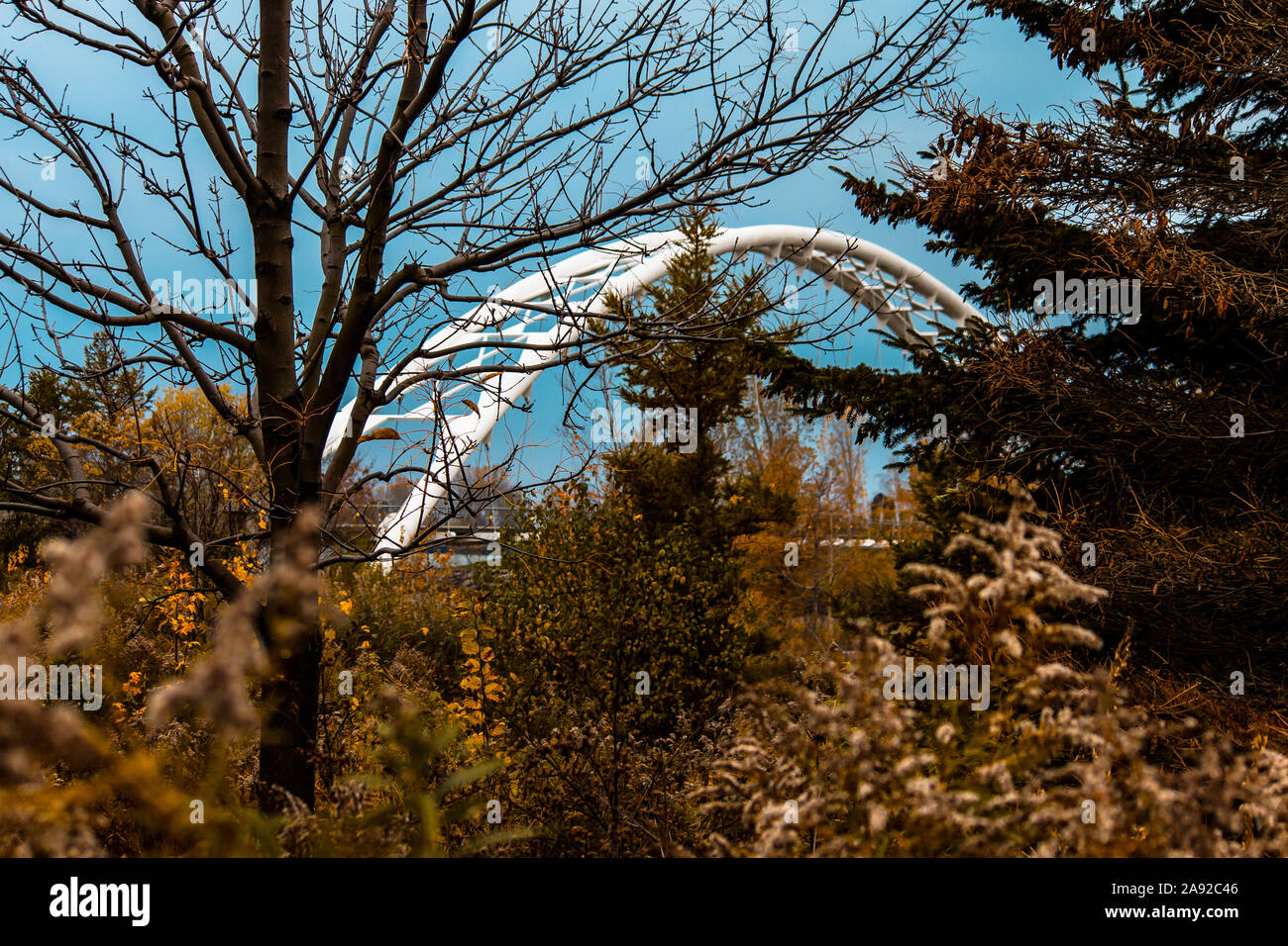 Humber Bay Bridge im Herbst Stockfoto