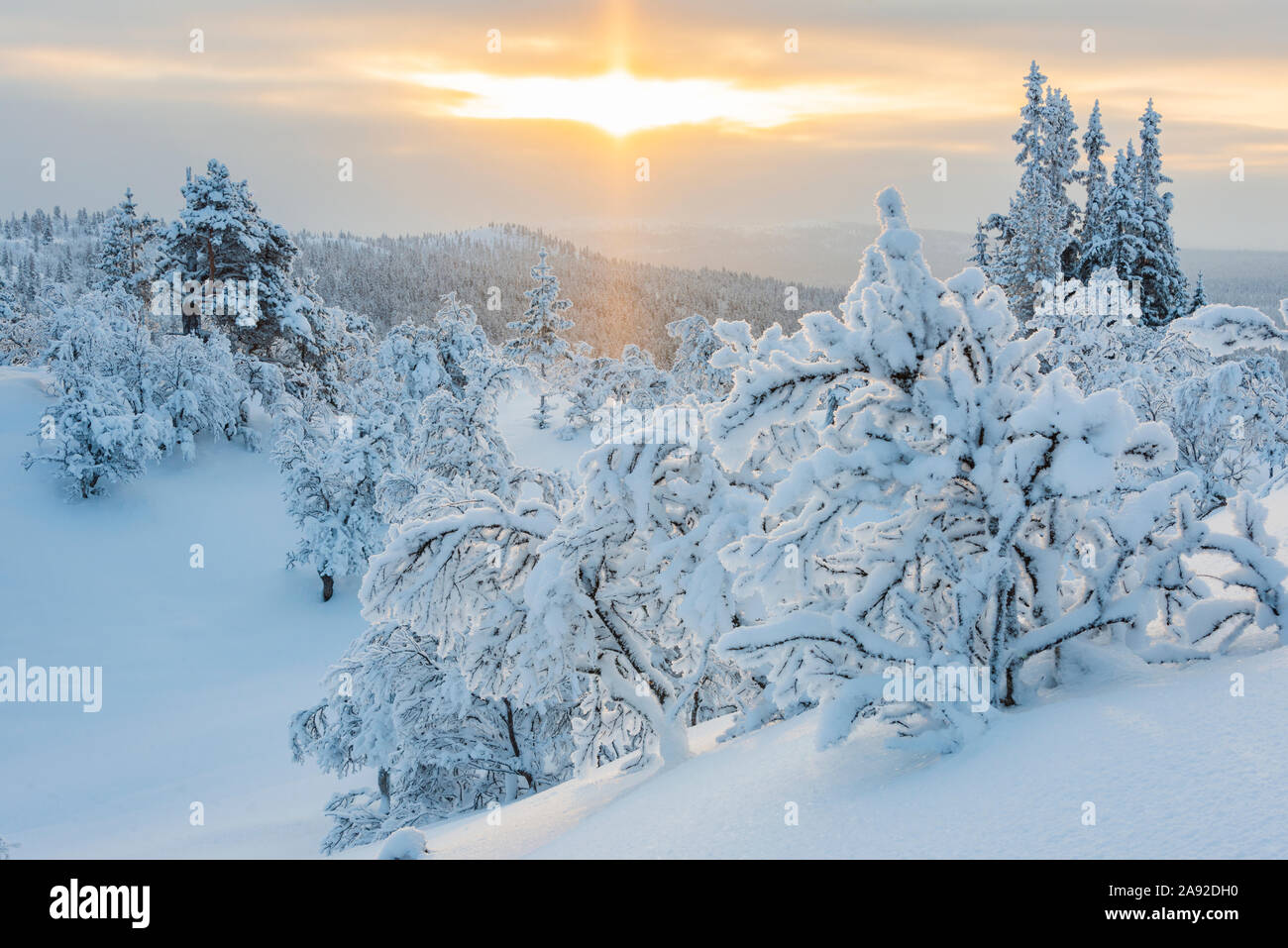 Winterlandschaft Stockfoto