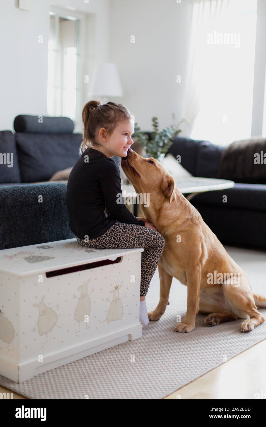 Junge mit Hund Stockfoto