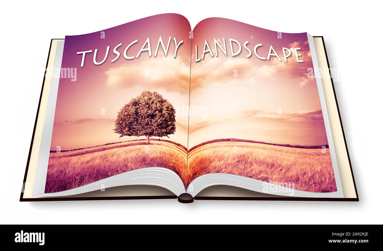 Isolierte Baum in einem Toskana wheatfield - (Italien) - 3D-Fotobuch eröffnet - ich bin der Urheber der Bilder in diesem 3D-Render verwendet. Stockfoto