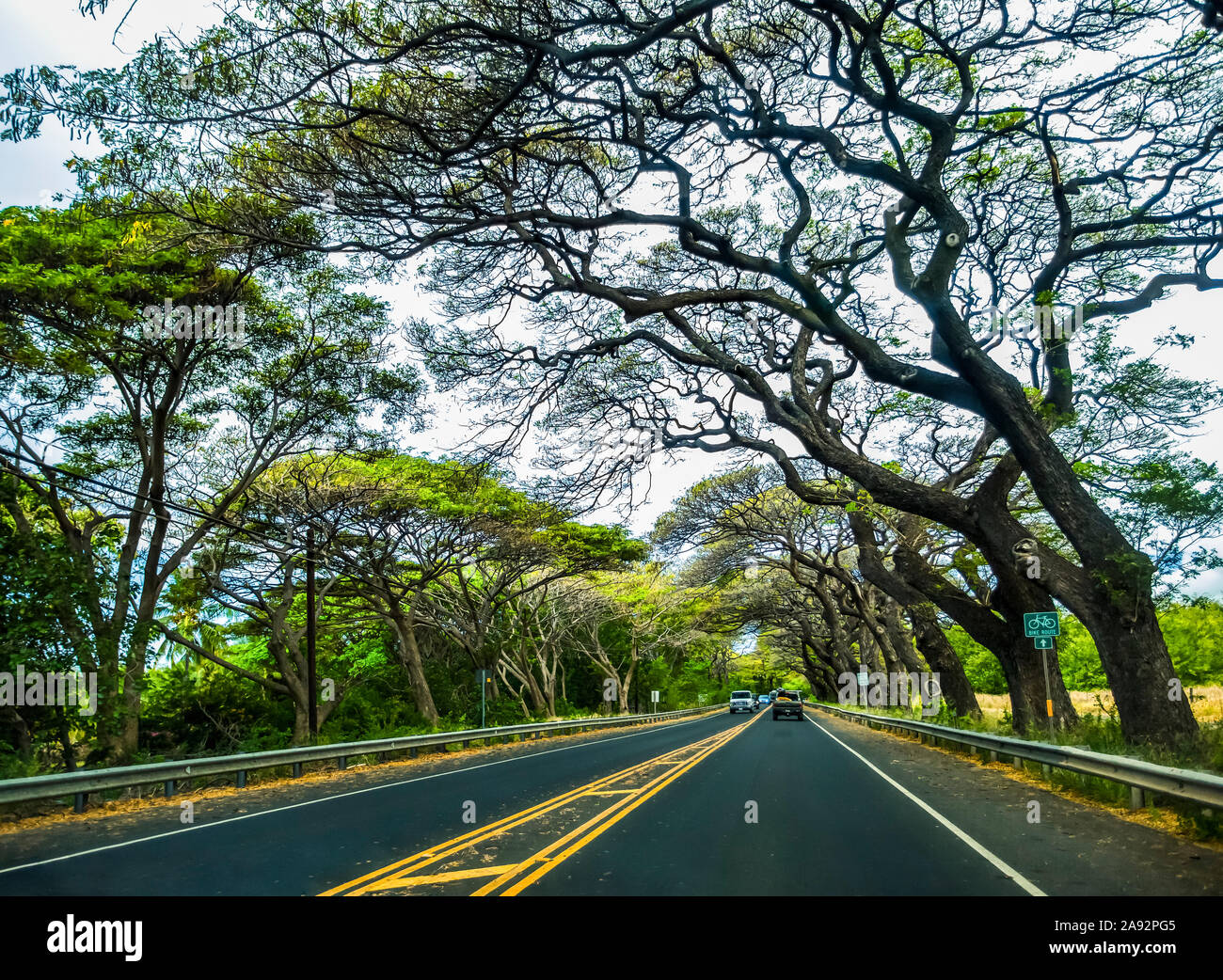 Straße auf dem Weg nach Kaplua von Kihei auf der Insel Maui; Maui, Hawaii, Vereinigte Staaten von Amerika Stockfoto